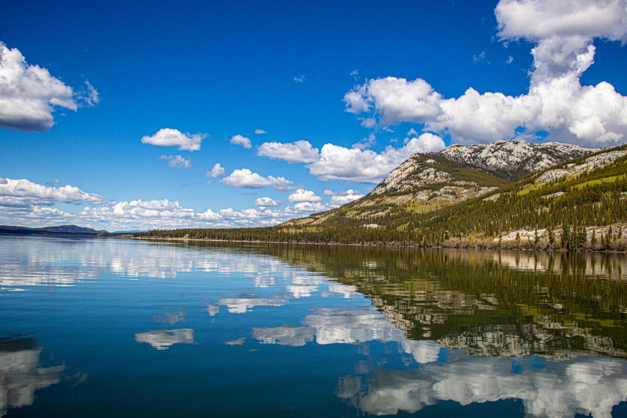 Little Atlin Lodge Tagish Eksteriør bilde