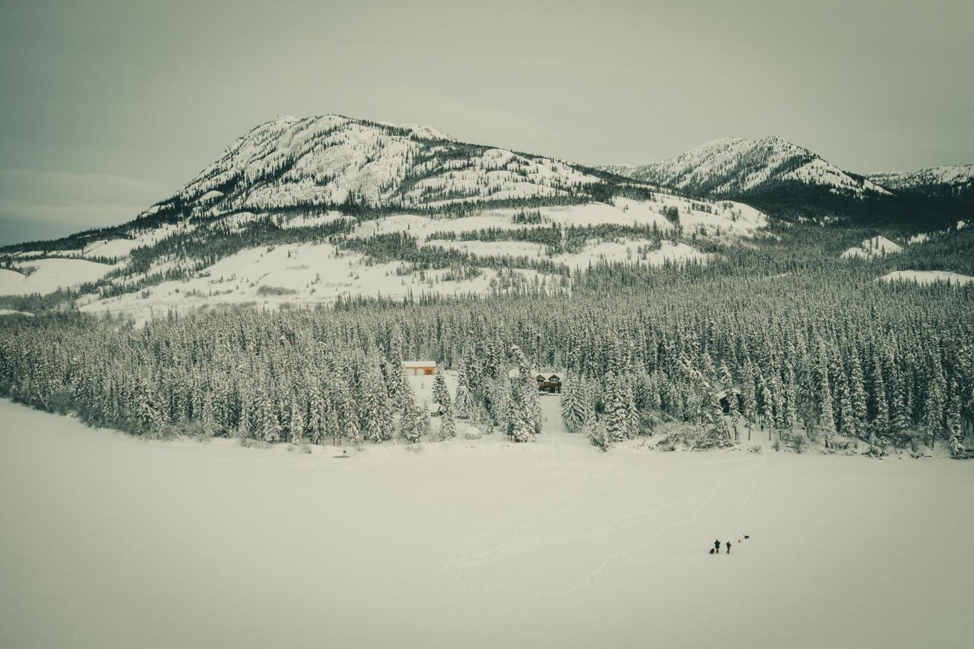 Little Atlin Lodge Tagish Eksteriør bilde