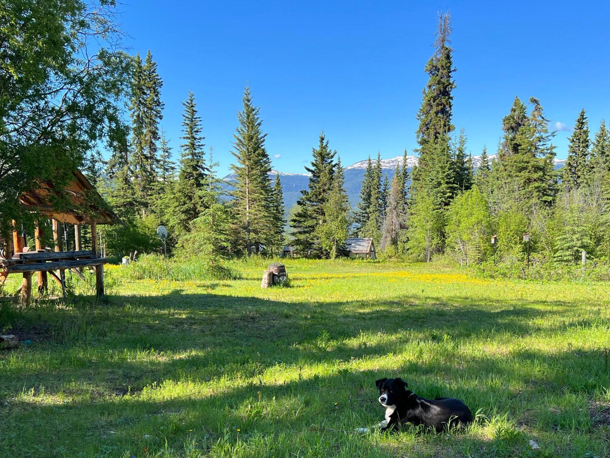 Little Atlin Lodge Tagish Eksteriør bilde